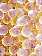 hysol7811|Loctite 7811聚酰胺熱熔膠